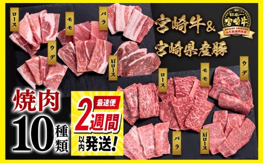 【最速便】宮崎牛＆宮崎県産豚肉 焼肉10種盛り 食べ比べセット計600g 宮崎牛 A4～A5等級 国産牛 豚肉  ブランド牛 ミヤチク 内閣総理大臣賞4連覇＜1.2-68＞●【10月1日より寄附金額見直し】