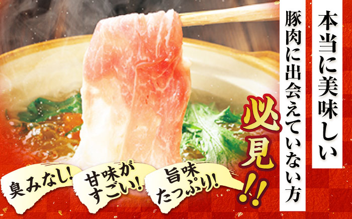 五島美豚薄切り1kg（ロース500g/バラ500g） 五島市/ごとう農業協同組合[PAF004]  しゃぶしゃぶ 冷凍 豚肉 ブランド豚 国産豚 九州 豚 ぶた 肉冷凍 国産豚 豚肉 ブランド豚