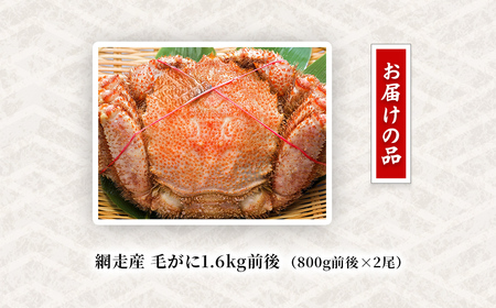 網走産 毛がに1.6kg前後（800g前後×2尾） ABW109