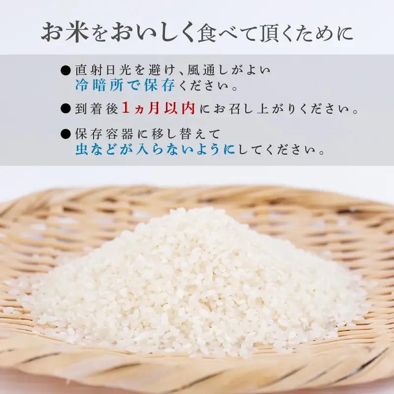 【先行予約】 令和8年産 無洗米 こしひかり 5kg 【 無洗米 】