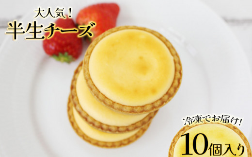 半生チーズ　10個入 | チーズケーキ スイーツ 洋菓子 贈答用 お取り寄せ  誕生日 記念日 お土産 内祝い 出産祝い 美味しい 甘い 濃厚 とろける 幸せ 人気 栃木県 真岡市 送料無料