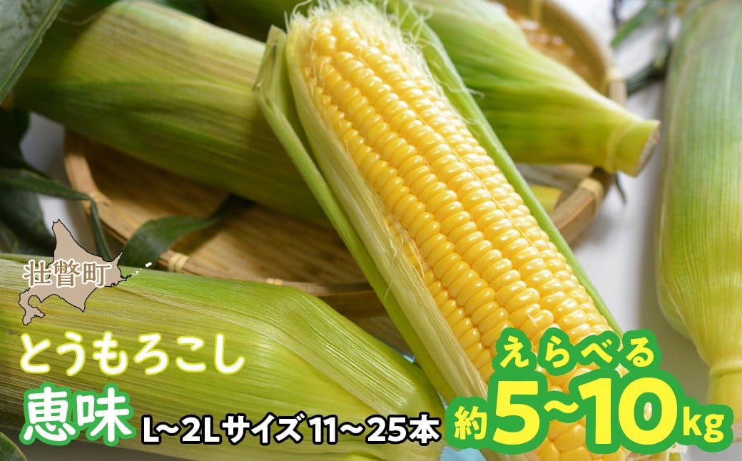 
            ＜2026年8月初旬よりお届け＞約5~10kg！北海道壮瞥産とうもろこし（恵味） 選べる容量 【Ｌ～2Lサイズ 11～25本】【 ふるさと納税 人気 おすすめ ランキング トウモロコシ とうもろこし 恵味 野菜 甘い 北海道 壮瞥町 送料無料 】 SBTP002
          
