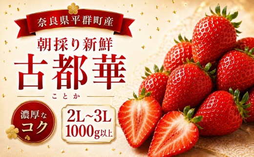 AO03 朝採りの新鮮な古都華２L～３L 1000ｇ以上 いちごいちえ | 果物 くだもの フルーツ 苺 イチゴ いちご ストロベリー 古都華 ことか 希少 濃厚コク 芳醇 果肉 しっとり 旬の品種 奈良県 平群町
