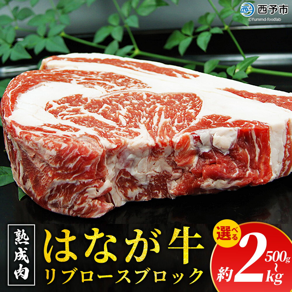 【ふるさと納税】選べる内容量＜熟成肉 はなが牛リブロースブロック 約500g～2kg＞ 牛肉 牛 肉 ステーキ ブランド牛 鉄板焼き 焼肉 国産 塊肉 かたまり 霜降り しもふり バーベキュー BBQ キャンプ アウトドア 特産品 愛媛県 ゆうぼく 西予市【冷凍】『2か月以内に順次発送』