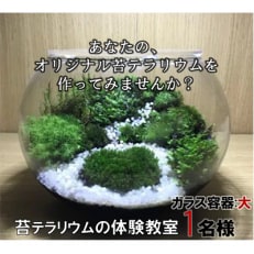 寝屋川市で開催「苔テラリウム」の体験教室　【ノーマルコース:ガラス容器大】