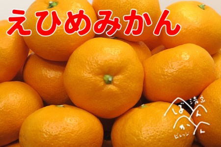 【贈答用】清家ばんかんビレッジ 愛媛みかん 5kg