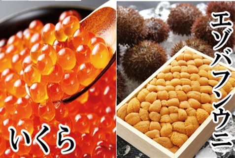 ＜12月14日決済分まで年内配送＞エゾバフンウニバラ詰め150g×1折、いくら醤油漬け150g×1P[11月下旬以降発送]  E-40022