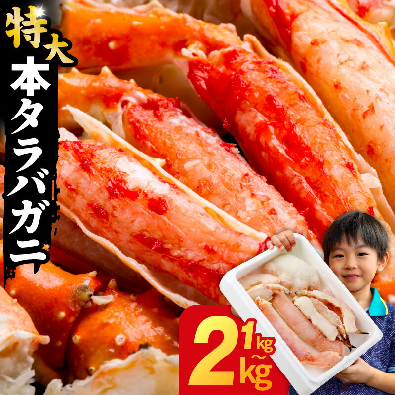 【ふるさと納税】タラバガニ 特大 選べる 1kg / 2kg 訳あり 規格外 サイズ不揃い 昆布仕立て ボイル済 脚 蟹爪 簡単 弾力 カニ鍋 焼きガニ カニ雑炊 蟹しゃぶ 天ぷら 味噌汁 魚介類 海の幸 海鮮 冷凍 ランキング急上昇中 発送月 大阪府 泉佐野市 送料無料 圧倒的企業努力