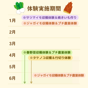 タケノコ収穫＆竹切り体験（1組5名まで） 〈 旬の野菜の収穫体験 食育 収穫体験 農業体験 体験 収穫 野菜 子供 親子 レジャー 観光 農作物 ふるさと納税 柏 〉