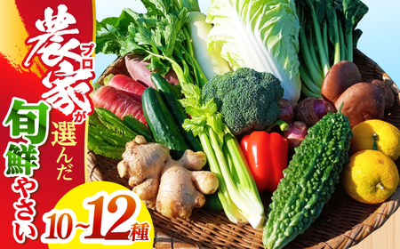 【訳あり】高知県産 土佐季節の野菜詰め合せセット /野菜セット 野菜詰め合わせ 野菜詰合せ やさい 【香稜苑】 [ATBQ001] 訳あり 不揃い 規格外 支援 支援品