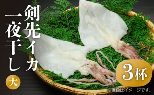 剣先イカ 一夜干 （大） 3杯 《壱岐市》【株式会社マルショウ】 いか イカ 剣先いか セット おつまみ 一夜干し [JEW007] 19000 19000円 のし ギフト