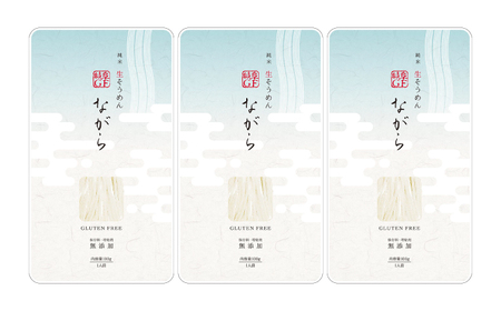 【6回定期便】 【グルテンフリー】 細くてもしっかりコシ！ 米粉生そうめん グルテンフリー そうめん 米粉 岐阜市 / 小林生麺[ANGM021]