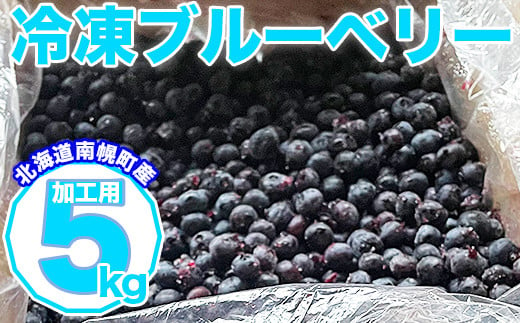 北海道南幌町産 冷凍ブルーベリー 加工用 5kg 7月下旬より発送 JAなんぽろ直送 NP1-345