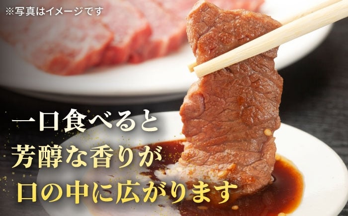 ステーキ 人気 和牛  壱岐牛 希少 柔らかい やわらかい 贈り物   肉 黒毛