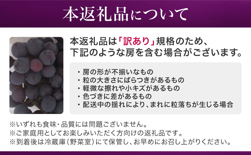 【先行予約】【訳あり・家庭用】長野県産 巨峰 約2kg 種あり 濃厚な甘み 訳あり 味問題なし 果物 旬のフルーツ 長野県産 上田市 信州