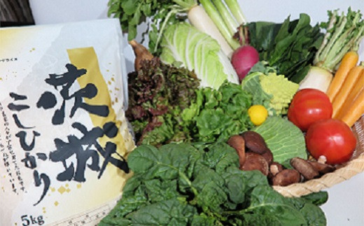 
K1666 新鮮野菜を盛り沢山＆茨城県産コシヒカリ5kgセット
