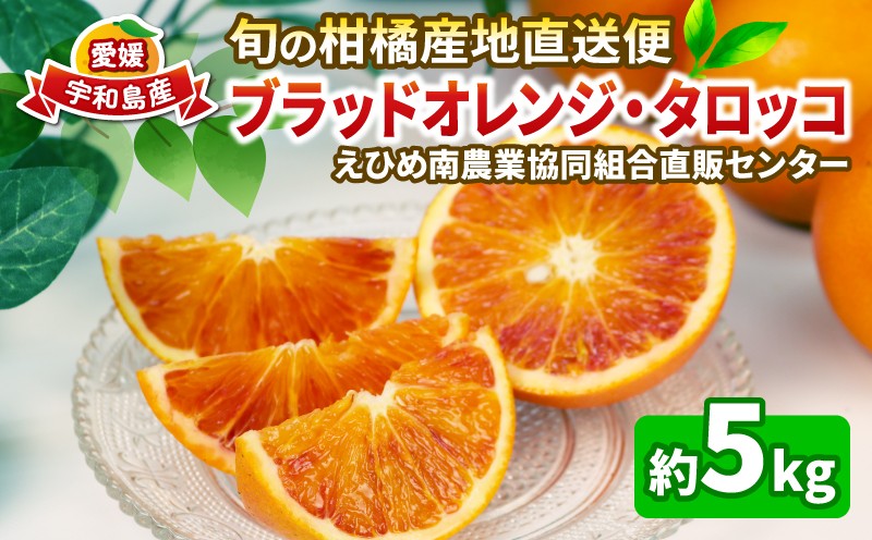 
                  ブラッドオレンジ タロッコ  約 5kg 秀品 えひめ南農業協同組合直販センター JA 先行予約 オレンジ ブラッド 蜜柑 みかん mikan 果物 くだもの フルーツ 愛媛ミカン 愛媛蜜柑 愛媛みかん 柑橘 農家直送 産地直送 数量限定 国産 愛媛 宇和島 B020-009007
                