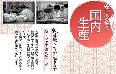 洗える羽毛布団 シングル ブルー 羽毛0.8kg 冬用