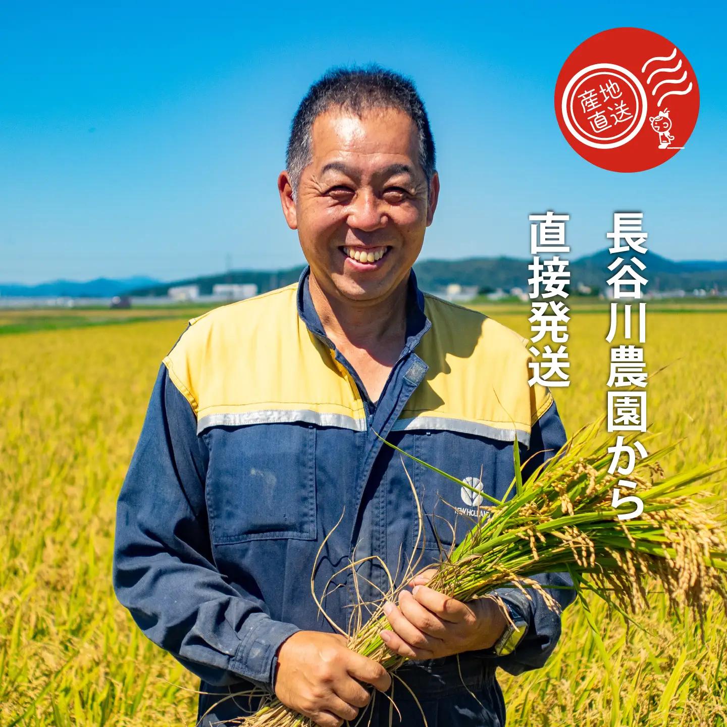 【令和8年産米】令和8年産 特A ななつぼし 10kg 特A米 北海道産 北海道米 長谷川農園 定期便アリ 10kg以上 当麻町【U-004】
