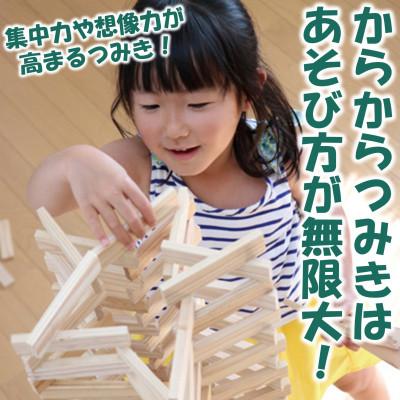 ふるさと納税 三股町 みやざきスギのつみき　からからつみき108(800枚)コンテナ入【C-1704】 |  | 01