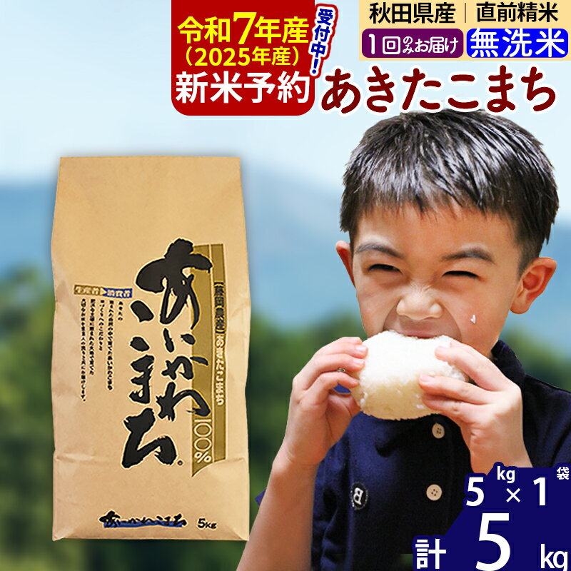 【ふるさと納税】※令和7年産 新米予約※秋田県産 あきたこまち 5kg【無洗米】(5kg小分け袋)【1回のみお届け】2025産 お米 藤岡農産