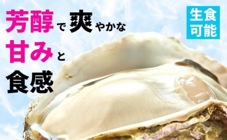 【ブランドいわがき春香】殻付き 巨大4Lサイズ 6個 岩牡蠣 生食可 新鮮クリーミー 冷凍 牡蛎 牡蠣 かき カキ 岩牡蠣 いわがき CAS CAS冷凍 年末年始 鍋 お正月 お歳暮 御歳暮 ギフト