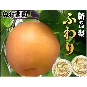 《2025年9月中旬より順次発送》新高梨 ふわり　2玉【配送不可地域：離島】【1619637】