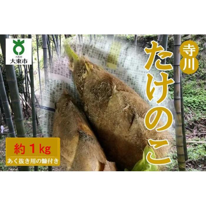 【ふるさと納税】【2026年発送】＜30セット限定＞朝堀り！新鮮！「寺川城の越たけのこ」1kg | 朝堀り 新鮮 たけのこ 筍 旬 春野菜 おすすめ 送料無料