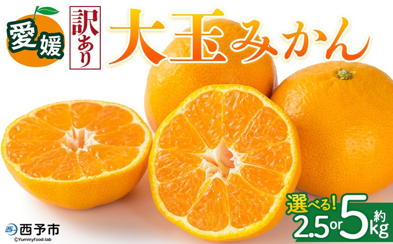 
                  ＜【訳あり】愛媛県産 大玉みかん 約2.5kg／5kg＞『2026年11月上旬～1月下旬迄順次発送予定』 選べる 容量 内容量 わけあり 小さい こだま みかん 蜜柑 果物 くだもの フルーツ ミカン 果汁 国産 特産品 株式会社三代目みかん職人 愛媛 西予市【常温】
                