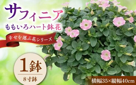 【4月末より順次発送】 サフィニア ももいろハート 鉢花　/ 瑞浪市 中山園芸 花 お花 お祝い 鉢植え 生花 ギフト プレゼント フラワー[AZDC005]