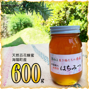 天然百花蜂蜜 600g ハチミツ はちみつ honey ニホンミツバチ 天然の花