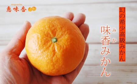 佐賀みかん ワイン “味香ワイン” 赤仕立て 辛口・甘口 720ml 各1本 お酒 アルコール