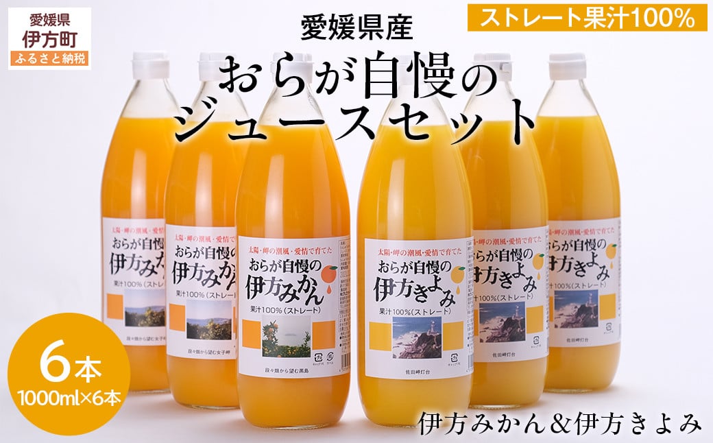 
            【愛媛県産】おらが自慢のジュースセット（1000ml×6本/みかん3、きよみ3） ストレート果汁100％ 無添加・無着色 【 ふるさと納税 人気 おすすめ ランキング みかん ミカン 蜜柑 ゼリー 清見タンゴール セット 詰合せ クリエイト伊方 愛媛県 伊方町 送料無料 】 IKTI014 
          