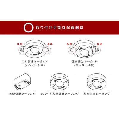 ふるさと納税 海南市 【ステンドグラスのランプシェード】シーリングライト(天井照明) リスブルー AKU1010997 |  | 03