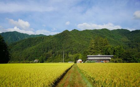 【令和7年度産】 自然栽培 天日干し 朝日 玄米 5㎏ |　お結び自然農縁