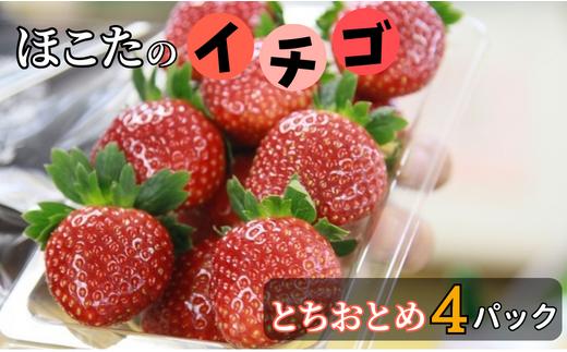 
【1～3月発送】JＡほこた　なだろう　いちご（とちおとめ4パック）
