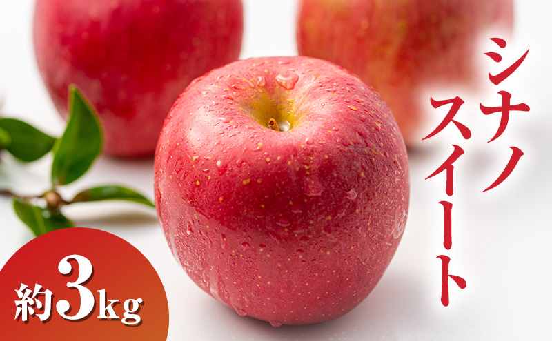 【2026年10月発送】 シナノスイート約3kg 7～9玉 りんご 長野県産