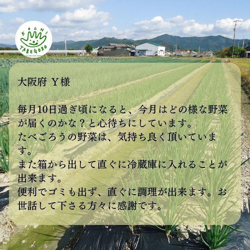『定期便』野菜詰め合わせセット6ヵ月