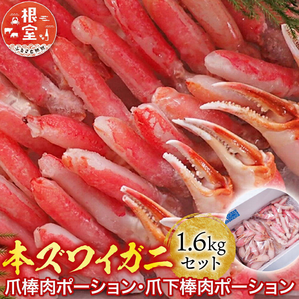 【ふるさと納税】 本ズワイガニ ( 爪棒肉ポーション・爪下棒肉ポーション ) 1.6kg セット ずわいがに ズワイ ずわい ズワイ蟹 ずわい蟹 かに カニ 蟹 お取り寄せ グルメ 海鮮 刺身 ステーキ 北海道 根室市 ふるさと納税 C-14031