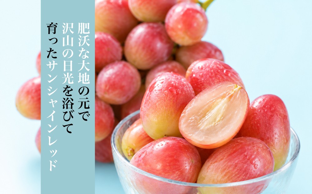 フルーツ栽培に適した「扇状地」と「盆地の外縁」という大変に恵まれた土地で私たちはサンシャインレッドを育てさせていただいています。