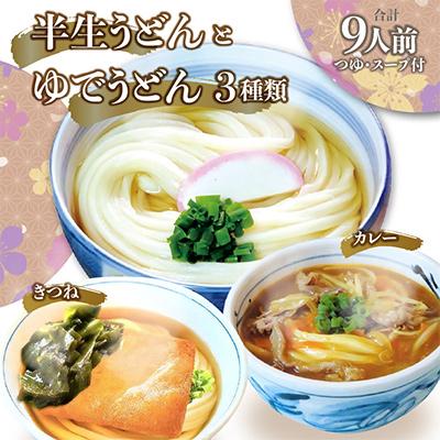 ふるさと納税 高松市 ゆでうどん(カレー・かけ・きつね)各3人前と　半生うどん9人前つゆ付き　詰合せ