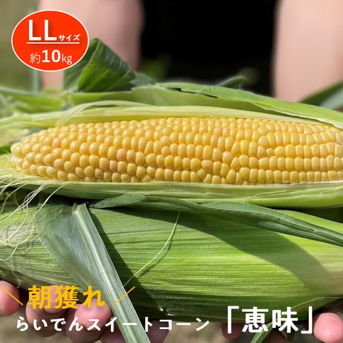 【ふるさと納税】2025年 7月 出荷 先行予約 とうもろこし らいでん スイートコーン 恵味 LL 規格 約10kg 北海道 共和町 産地直送 JAきょうわ コーン めぐみ 黄色 とうきび トウモロコシ 野菜 旬の野菜 新鮮野菜 北海道産 　お届け：2025年7月下旬〜8月上旬迄