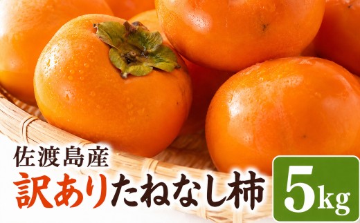 【先行予約 2026年10月以降発送】【訳あり】佐渡島産 たねなし柿 5kg 平核無柿・刀根早生 渋抜き済み 羽茂産 | 新潟県産柿 新潟産柿 佐渡産柿 佐渡島産かき たねなし柿 種無し柿 おけさ柿 柿 かき カキ わけあり 訳アリ 家庭用 フルーツ 果物 にいがた さど 新潟県 佐渡市