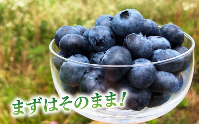 あいさいベリー ブルーベリー 冷凍果実 250g × 2パック 産地直送 腸活 美肌 愛西