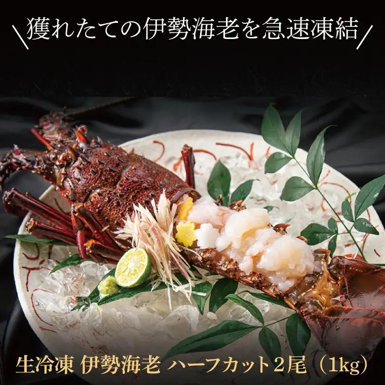 生冷凍 伊勢海老 2尾 1kg _AP031