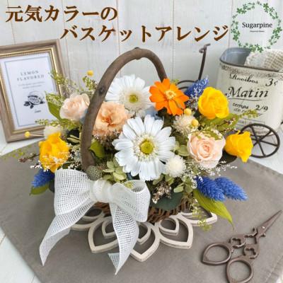 ふるさと納税 春日部市 プリザーブドフラワーアレンジ【ヴィヴィ】春日部市 シュガーパイン