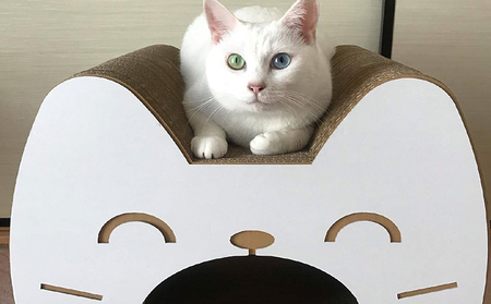 猫の爪とぎ　ロングトンネル（カラー：ナチュラル） 猫 ねこ ネコ キャット cat 爪とぎ ダンボール 段ボール 写真映え トンネル 丈夫 クラフト かわいい 猫の運動 日本製 国産 おもちゃ ペット