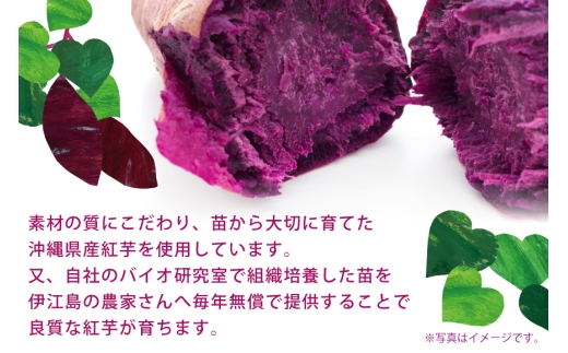 芋 スイーツ べにいもたると 6個 4箱 計24個 [ナンポー 沖縄県 伊江村 ie47bkf530002] お菓子 いも イモ さつまいも サツマイモ 紅いも 紅イモ 紅芋 べにいも 紅いもタルト 