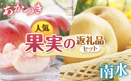 【2026年発送先行予約】南信州産 定期便2回送り　人気果実の返礼品セット　各5kg　＜桃　あかつき＞＜梨　南水＞　