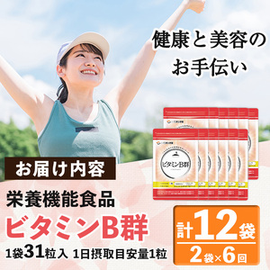 No.1300-B ＜定期便・全6回(隔月)＞ビタミンB群(2袋×6回・計12袋) 鹿児島 日置市 健康食品 サプリ 栄養バランス 食生活 安心安全 ビタミン 定期便 頒布会 【てまひま堂】
